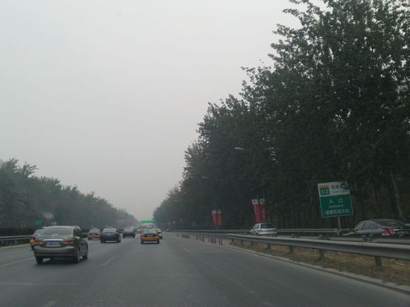 “射鸡”历险记打鸡血然后。