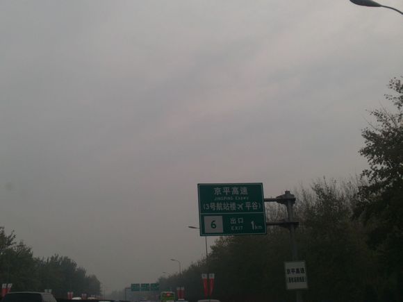 “射鸡”历险记打鸡血然后。