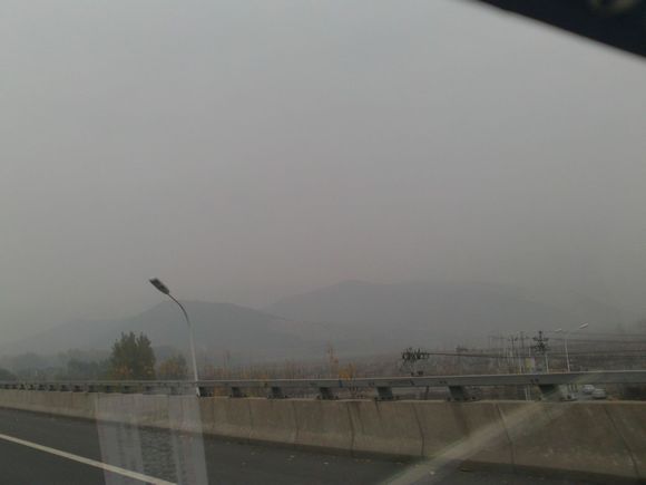 “射鸡”历险记打鸡血然后。