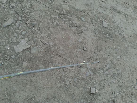 “射鸡”历险记打鸡血然后。