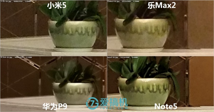 乐max2手机拍照评测,乐max2拍照效果怎么样