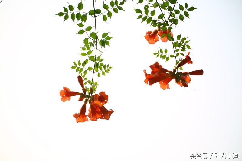 女人了解女人是什么意思,女人是怎么了解男人的