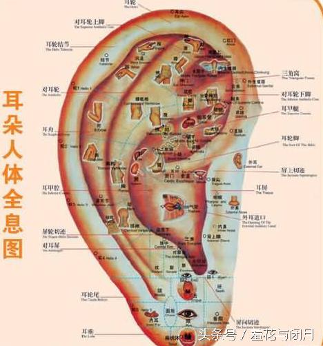 治疗干眼症的中药熬多久,中医治疗干眼症的穴位