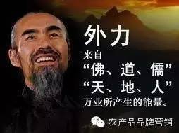 专业生鲜电商，当当、国美和苏宁喊你一起折腾！