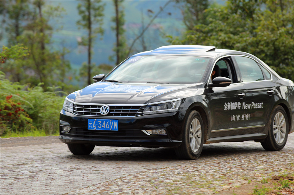 *萨特帕**一场与荷花无法拒绝的浪漫之旅