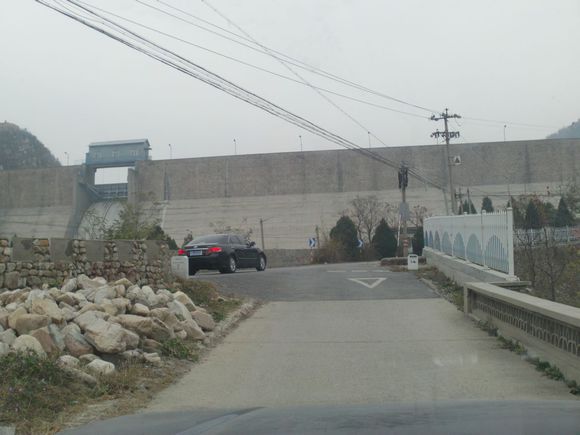 “射鸡”历险记打鸡血然后。