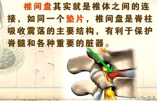 椎间盘负重特性最基本的液压支撑、承载着体重压力、真相竟然是它