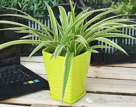 夏季房间甲醛多怎么办,夏季甲醛挥发成倍增加