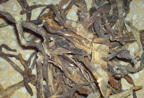 绿豆加猪苦胆治病偏方,养猪治疗猪病的方法