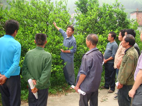 农村怎么创业致富的好项目,创业养殖是农村最好的项目