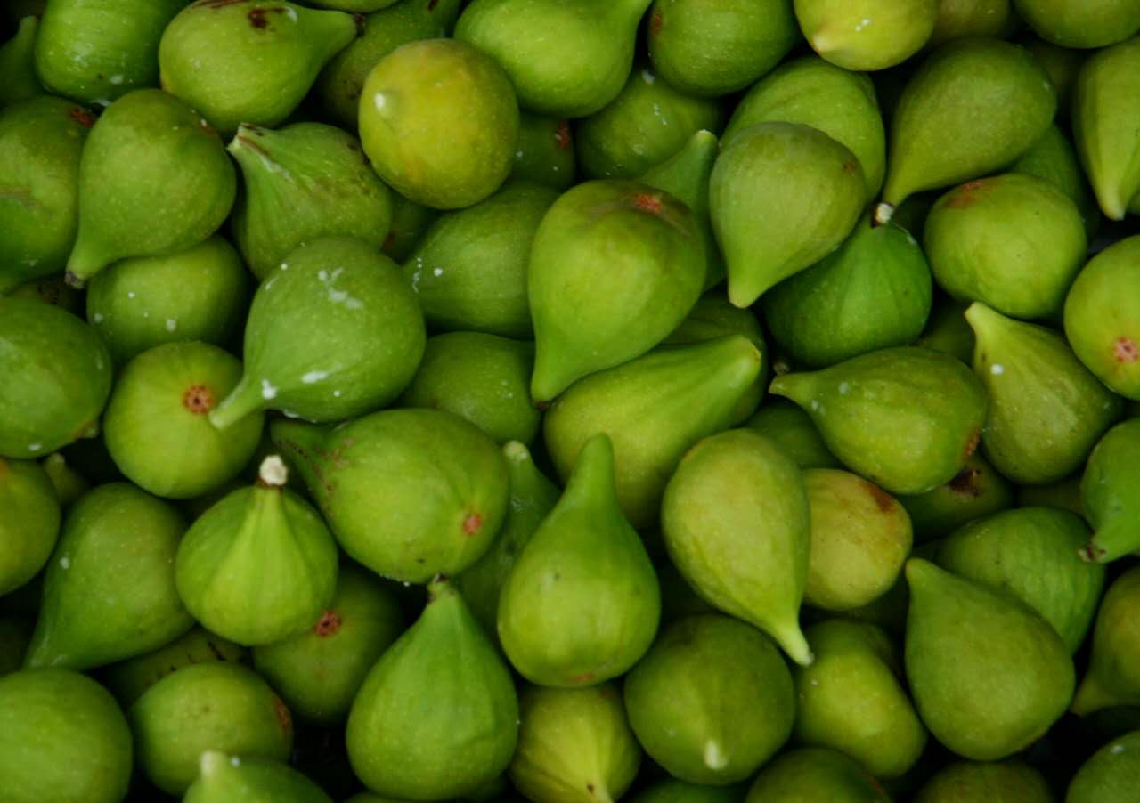 为什么无花果只有威海有,山东威海无花果特点