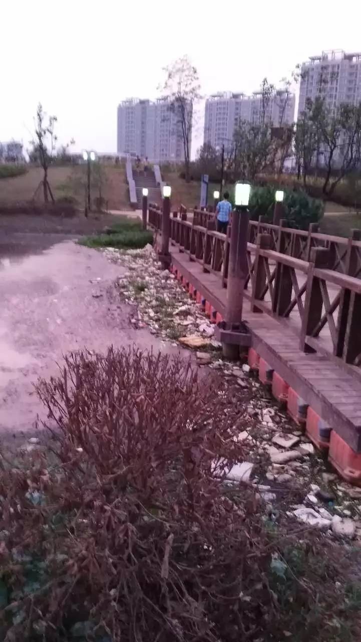 这么热的天大家都去哪玩,这么热的天大家都在干什么