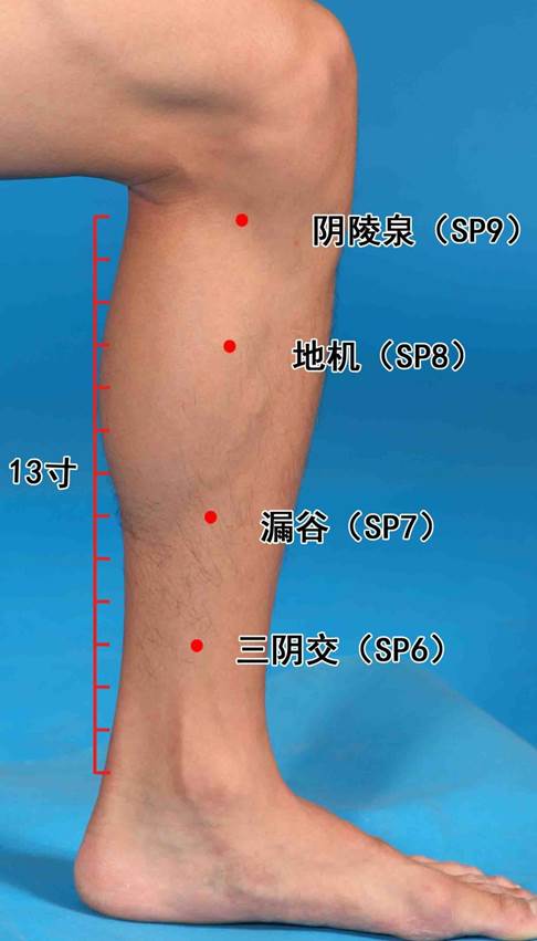同仁堂乌鸡白凤丸的功效与作用,药食同源穴位有哪些