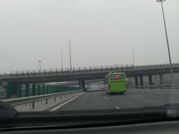 “射鸡”历险记打鸡血然后。