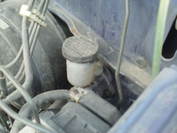 “射鸡”历险记打鸡血然后。