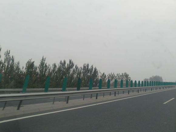 “射鸡”历险记打鸡血然后。