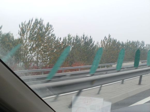 “射鸡”历险记打鸡血然后。