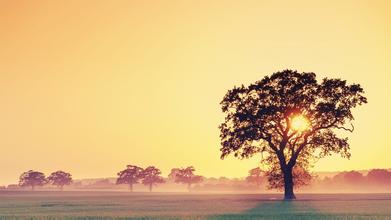 教师招聘特岗考试有什么不同吗,教师招聘特岗科目