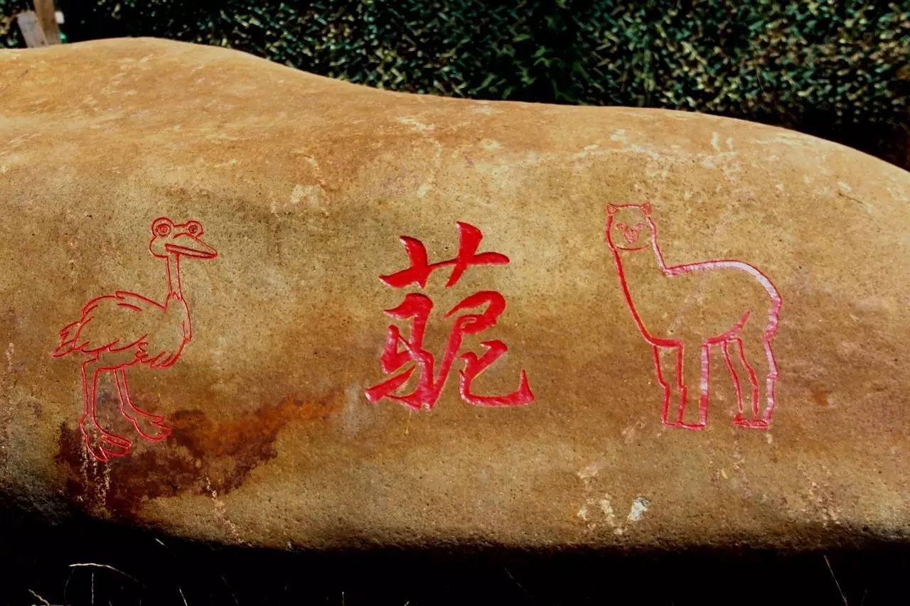 路虎揽胜漳州,揽胜海洋之心