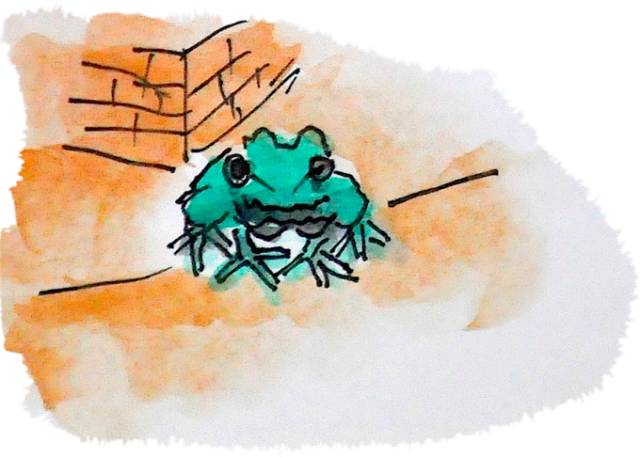 韩国济州岛旅游图片大全,济州岛手绘