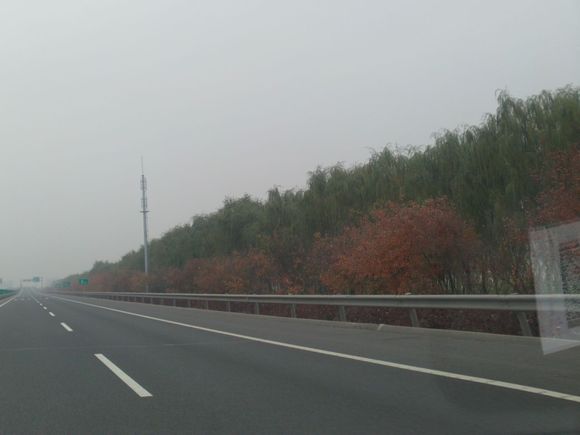 “射鸡”历险记打鸡血然后。