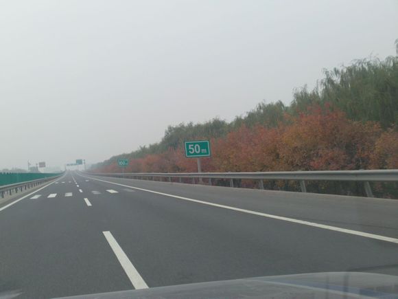 “射鸡”历险记打鸡血然后。