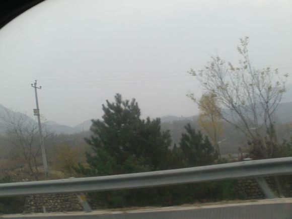 “射鸡”历险记打鸡血然后。