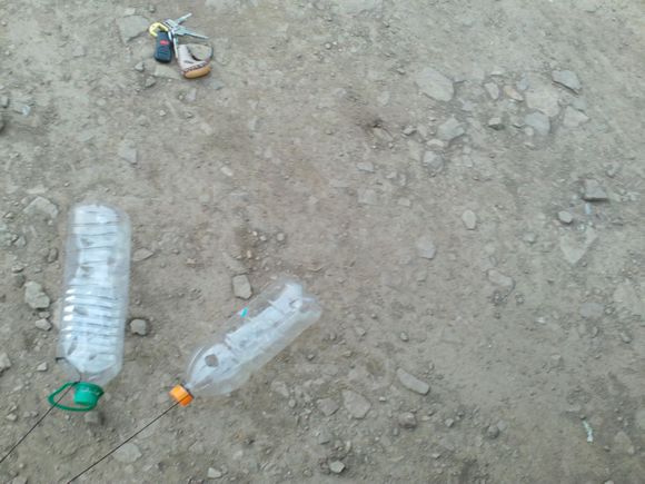 “射鸡”历险记打鸡血然后。