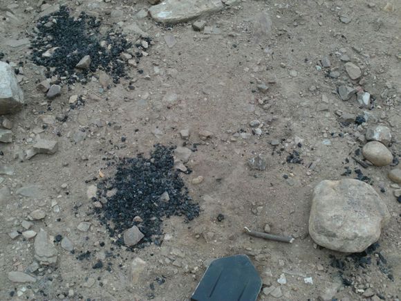 “射鸡”历险记打鸡血然后。