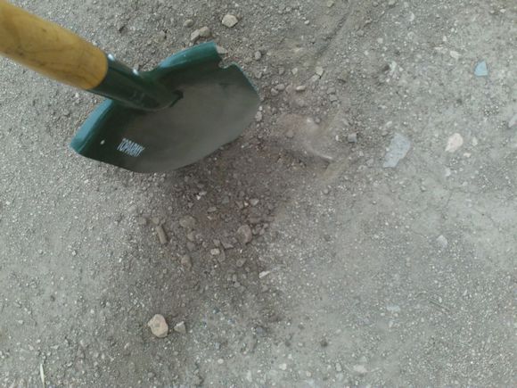 “射鸡”历险记打鸡血然后。