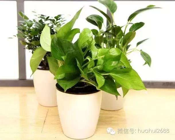 夏季房间甲醛多怎么办,夏季甲醛挥发成倍增加