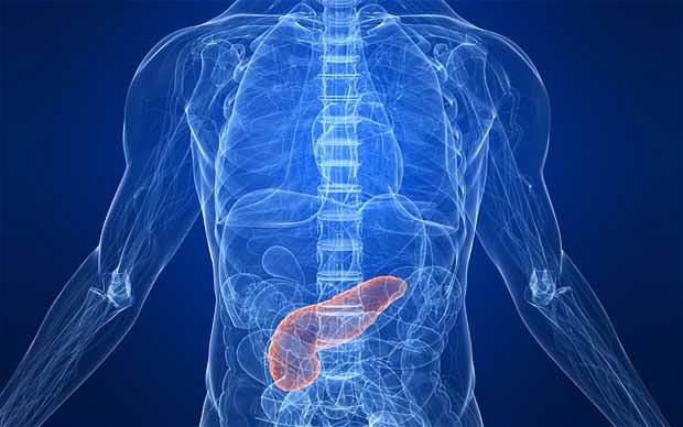 胰腺癌最有效的止痛药是什么,胰腺癌促癌剂