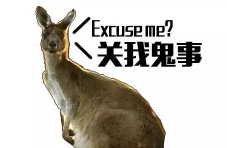 中国运动员里约遭盗抢,2016年巴西奥运会运动员东西被偷