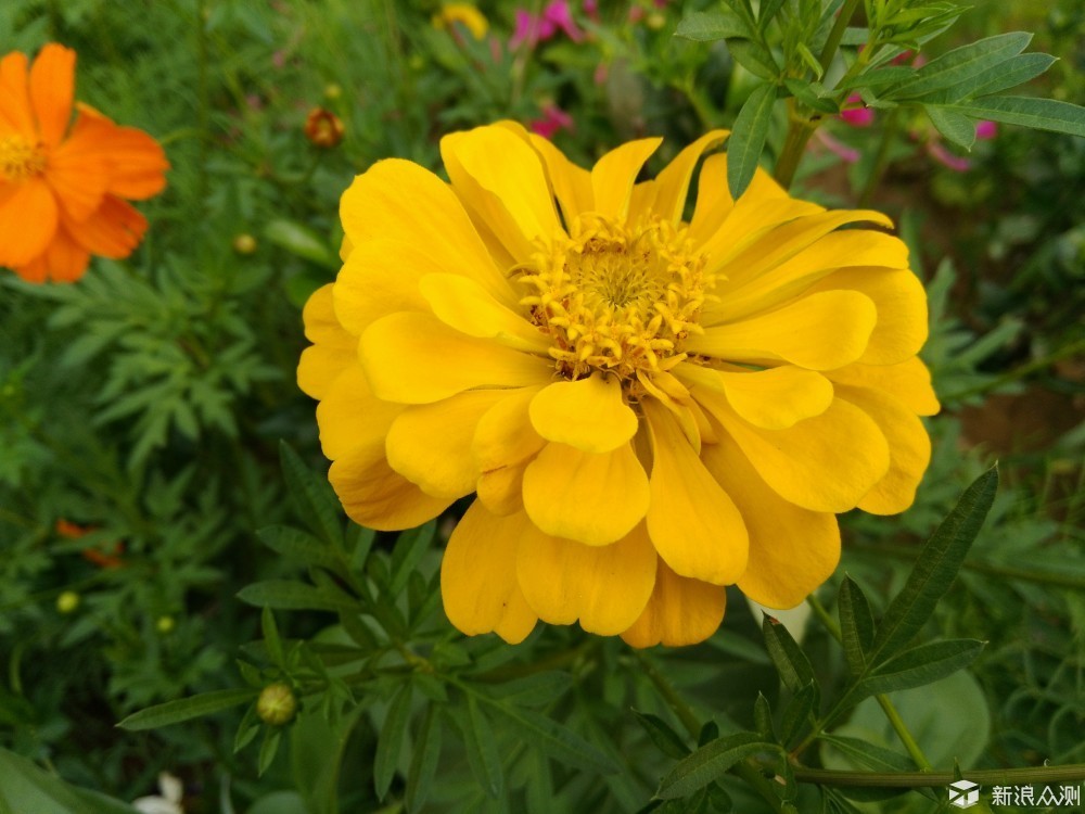 比红米note3好的千元机,比红米还具性价比的手机