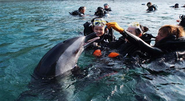 三亚湾旅游攻略自由行攻略最新,三亚两天旅游攻略三亚湾