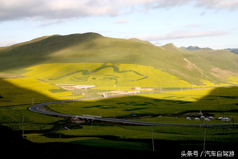 洛克之路卓尼段是从哪到哪,洛克之路路过卓尼县吗
