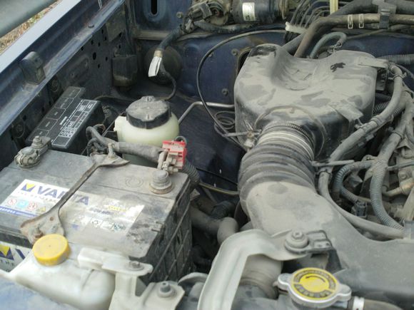 “射鸡”历险记打鸡血然后。