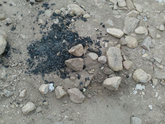 “射鸡”历险记打鸡血然后。