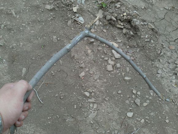 “射鸡”历险记打鸡血然后。