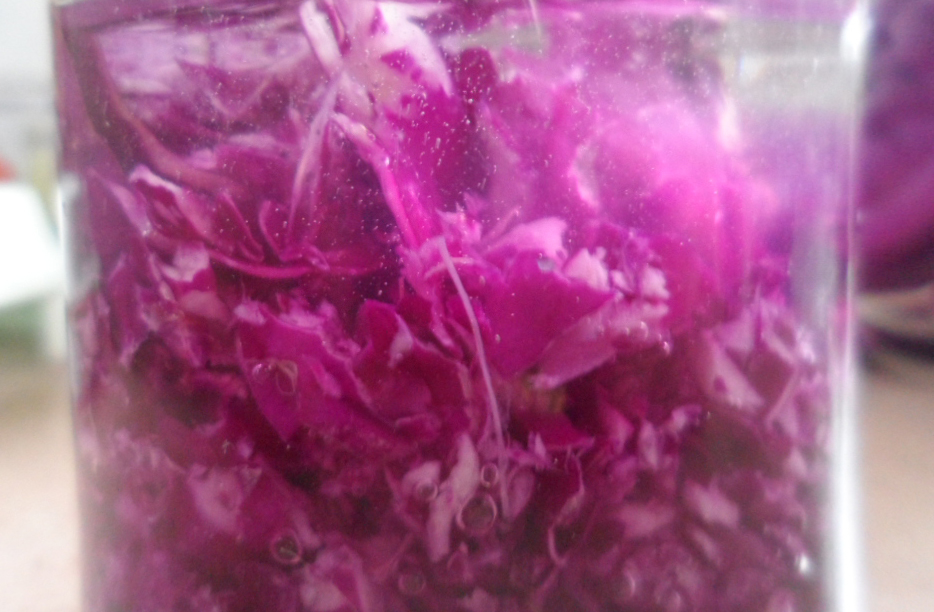 紫草素作用机制,正宗紫草素