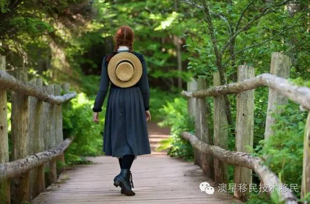 爱德华王子岛十大景点,爱德华王子岛历史