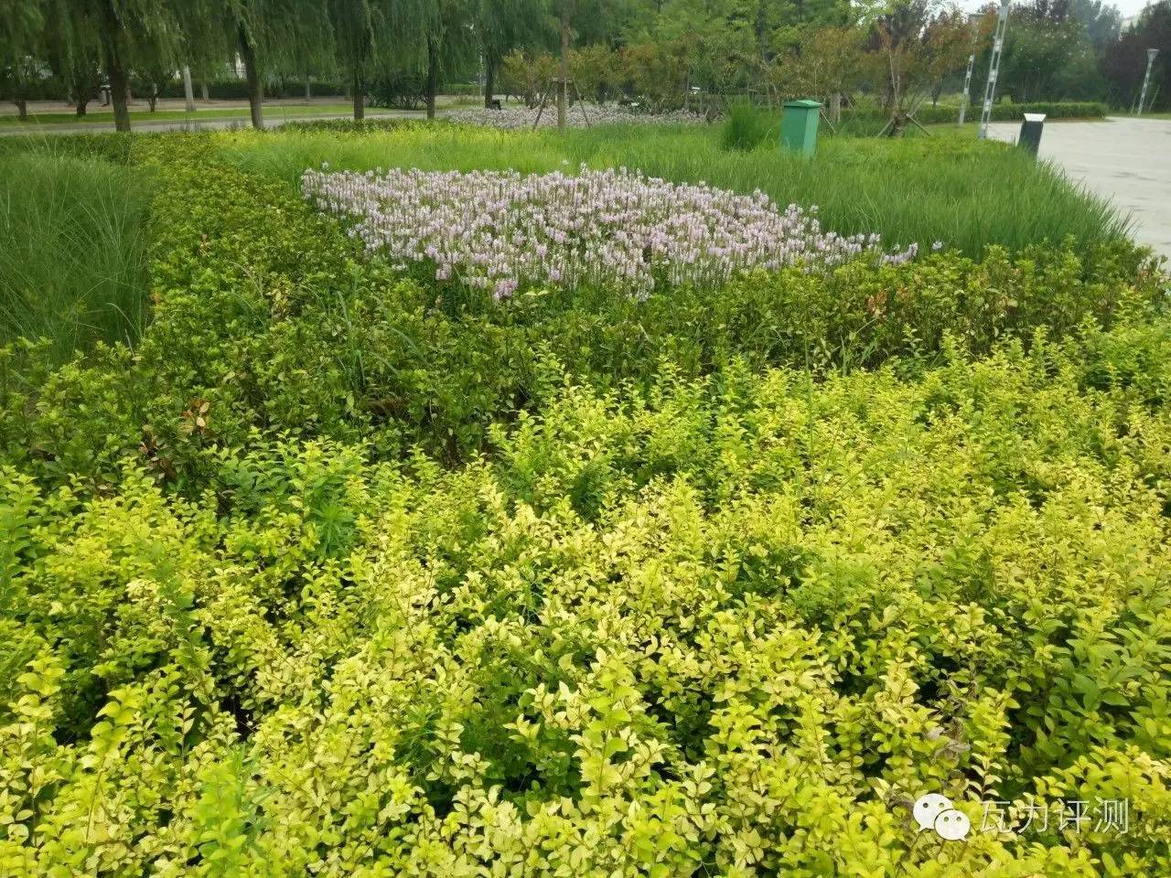 360手机n4s能刷什么系统,360n4s骁龙手机评测