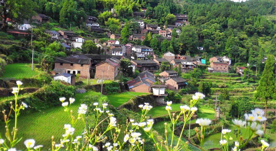 叶岩头,叶岩头村