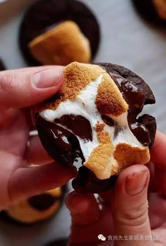 便宜又好的可可粉,干货关于蛋白粉一些你不知道的事