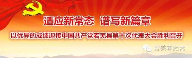 楼兰姑娘玫瑰玫瑰,楼兰姑娘合拍