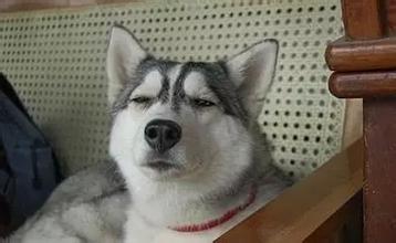 2022温网新闻,2022年温网新闻