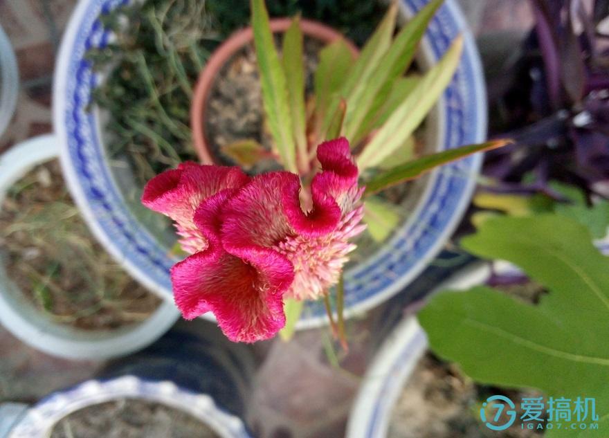 魅蓝千元机测评,魅蓝note3测评