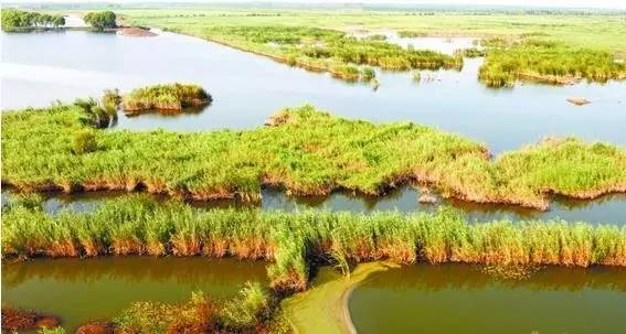 烟台青岛哪个更适合居住,青岛威海烟台哪个最适合居住