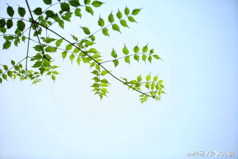 女人了解女人是什么意思,女人是怎么了解男人的