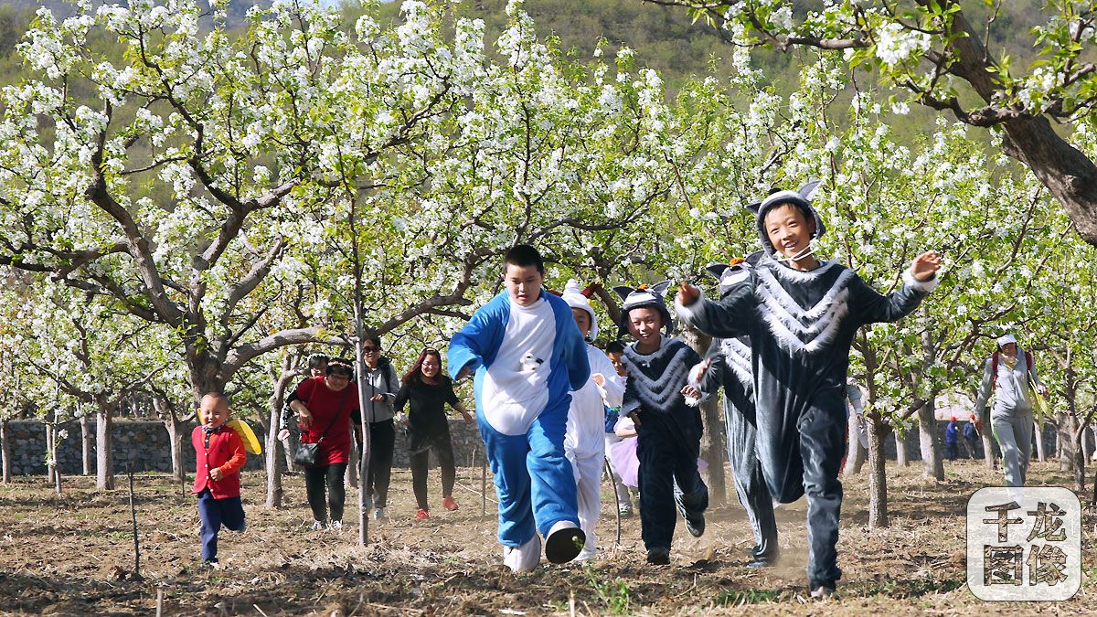 北京全民健身日活动视频,北京2017年全民健身日